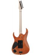 IBANEZ RG Prestige E-Guitar 6 String -. Polar Lights + Case