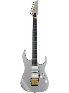 Ibanez RG-Series E-Gitarre 6 String Silver Flat - Premium
