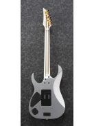 Ibanez RG-Series E-Gitarre 6 String Silver Flat - Premium