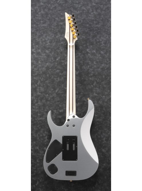 Ibanez RG-Series E-Gitarre 6 String Silver Flat - Premium