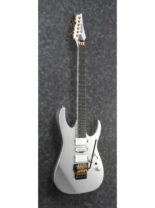 Ibanez RG-Series E-Gitarre 6 String Silver Flat - Premium