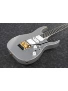Ibanez RG-Series E-Gitarre 6 String Silver Flat - Premium