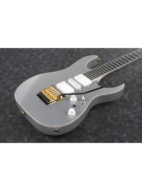 Ibanez RG-Series E-Gitarre 6 String Silver Flat - Premium