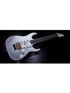 Ibanez RG-Series E-Gitarre 6 String Silver Flat - Premium