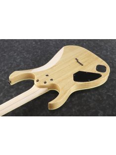 IBANEZ RG Prestige Nebula Green Burst - Japan