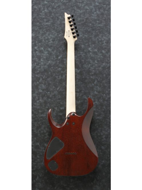 IBANEZ RGA42-Series - Dragon Eye Burst Flat