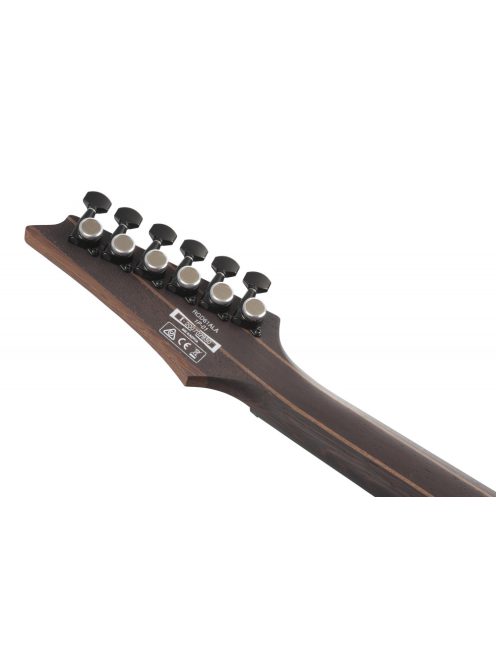 Ibanez RGD61ALA-MTR Axion Label elektromos gitár - b stock