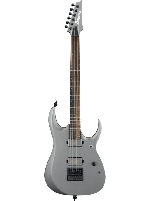 Ibanez RGD Axion Label - Metallic Gray Matte