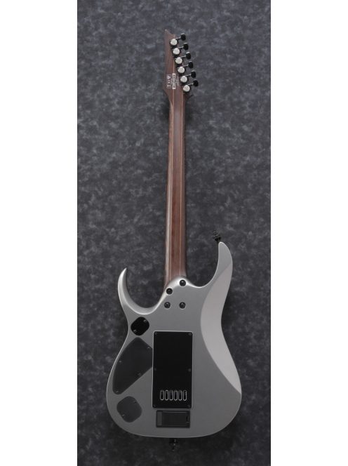 Ibanez RGD Axion Label - Metallic Gray Matte