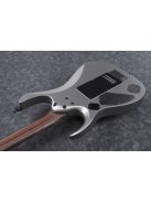 Ibanez RGD Axion Label - Metallic Gray Matte