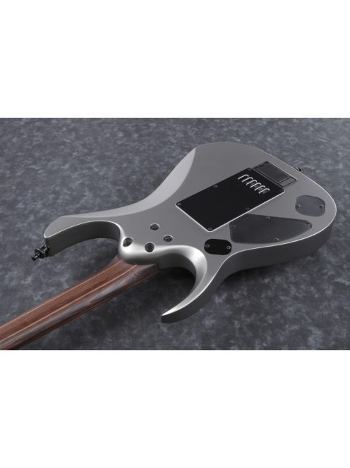 Ibanez RGD Axion Label - Metallic Gray Matte