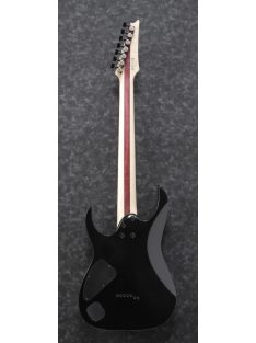 IBANEZ RG Iron Label - Black Flat