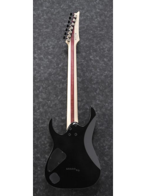 IBANEZ RG Iron Label - Black Flat