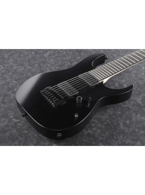 IBANEZ RG Iron Label - Black Flat