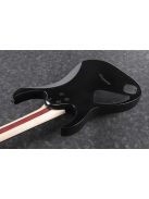 IBANEZ RG Iron Label - Black Flat