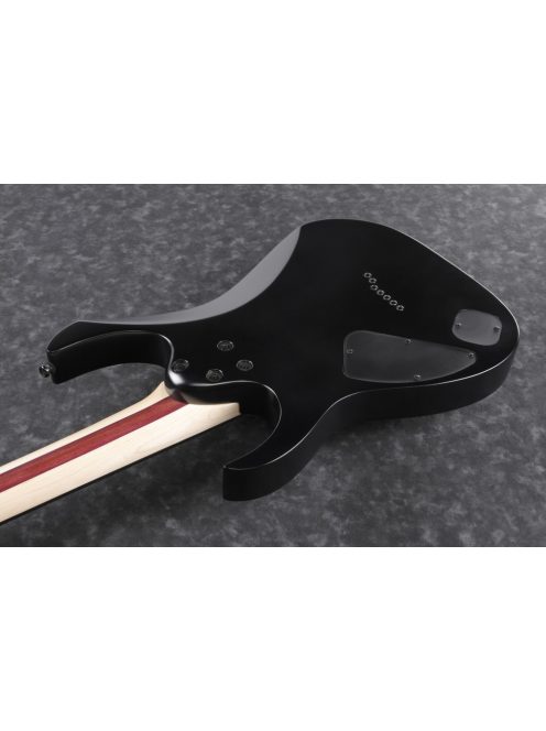 IBANEZ RG Iron Label - Black Flat