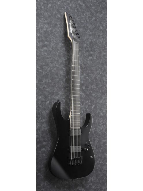 IBANEZ RG Iron Label - Black Flat