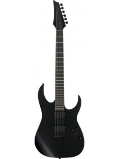 IBANEZ RGRTB Iron Label E-Guitar 6 String - Black Flat + Bag