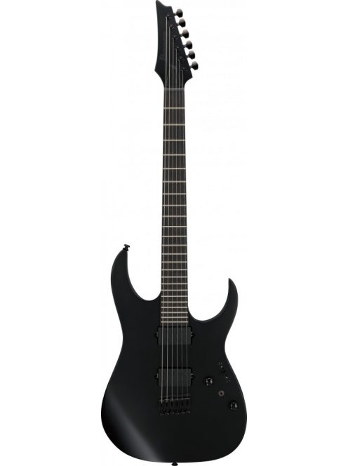IBANEZ RGRTB Iron Label E-Guitar 6 String - Black Flat + Bag