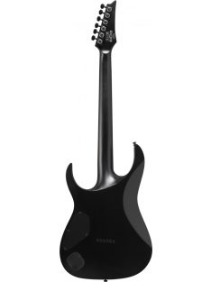 IBANEZ RGRTB Iron Label E-Guitar 6 String - Black Flat + Bag