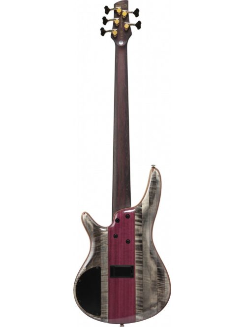 IBANEZ SR 5-Str Black Ice Low Gloss Gold-Hardware, Incl. Gig bag