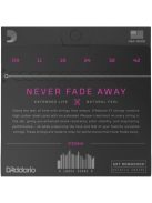 D'Addario XTE0942 Premium Nickel