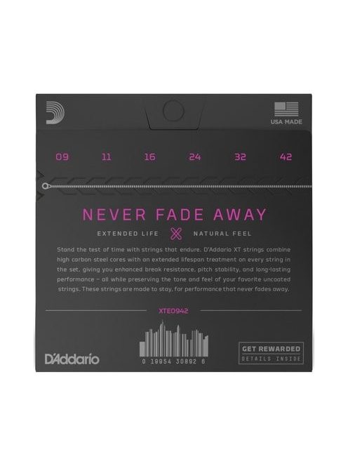 D'Addario XTE0942 Premium Nickel