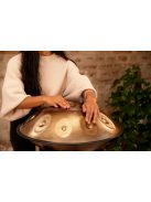 Meinl Sonic Energy Sensory Handpan Stainless Steel D Kurd 10 Notes 440 Hz - Vintage Gold