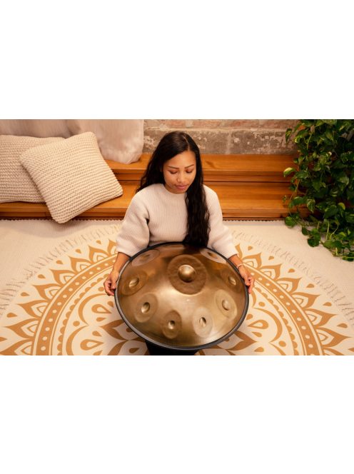 Meinl Sonic Energy Sensory Handpan Stainless Steel D Kurd 10 Notes 440 Hz - Vintage Gold