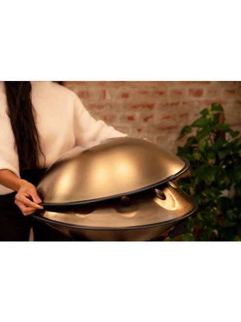 Meinl Sonic Energy Sensory Handpan Stainless Steel D Kurd 10 Notes 440 Hz - Vintage Gold