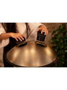 Meinl Sonic Energy Sensory Handpan Stainless Steel D Kurd 10 Notes 440 Hz - Vintage Gold